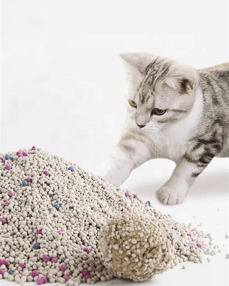 Cat Litter
